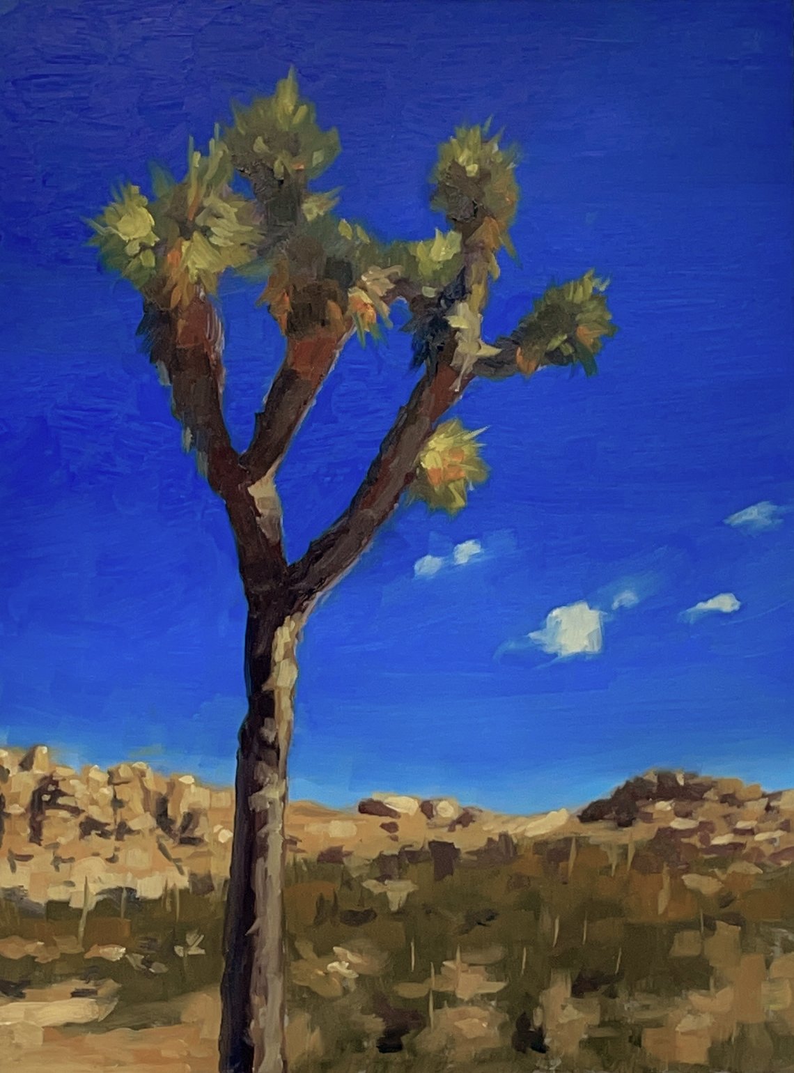 Joshua Tree by Eric Larson