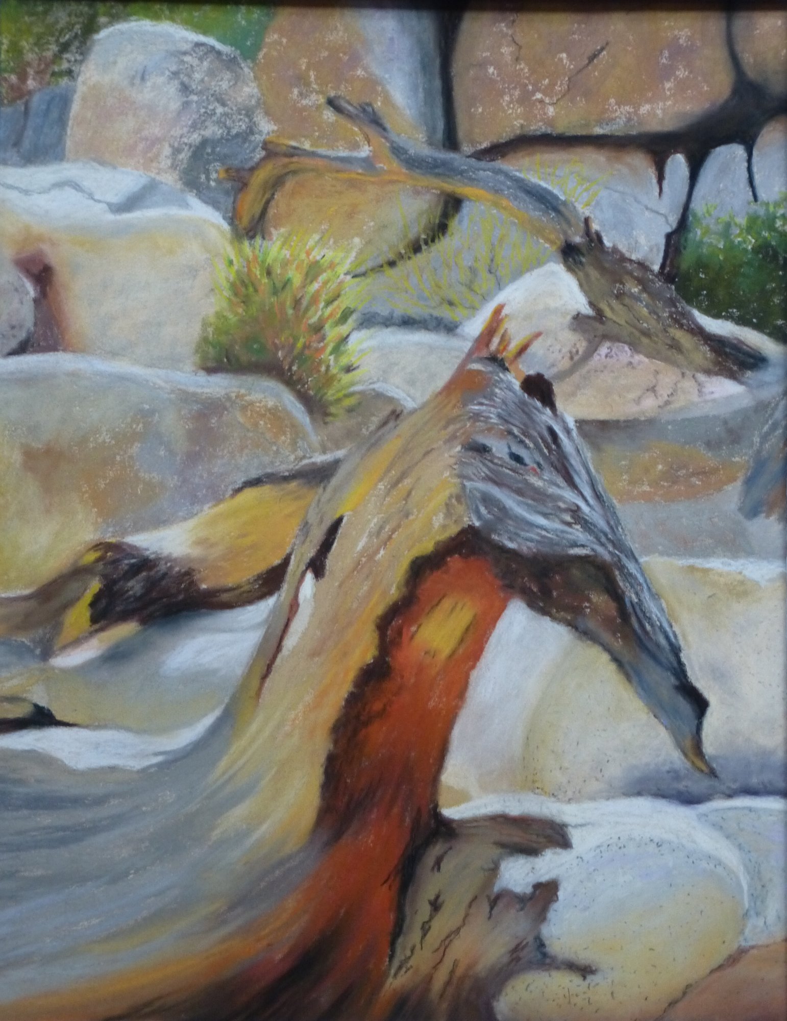 Joshua Tree Dragon by Susan Larisch Frommer