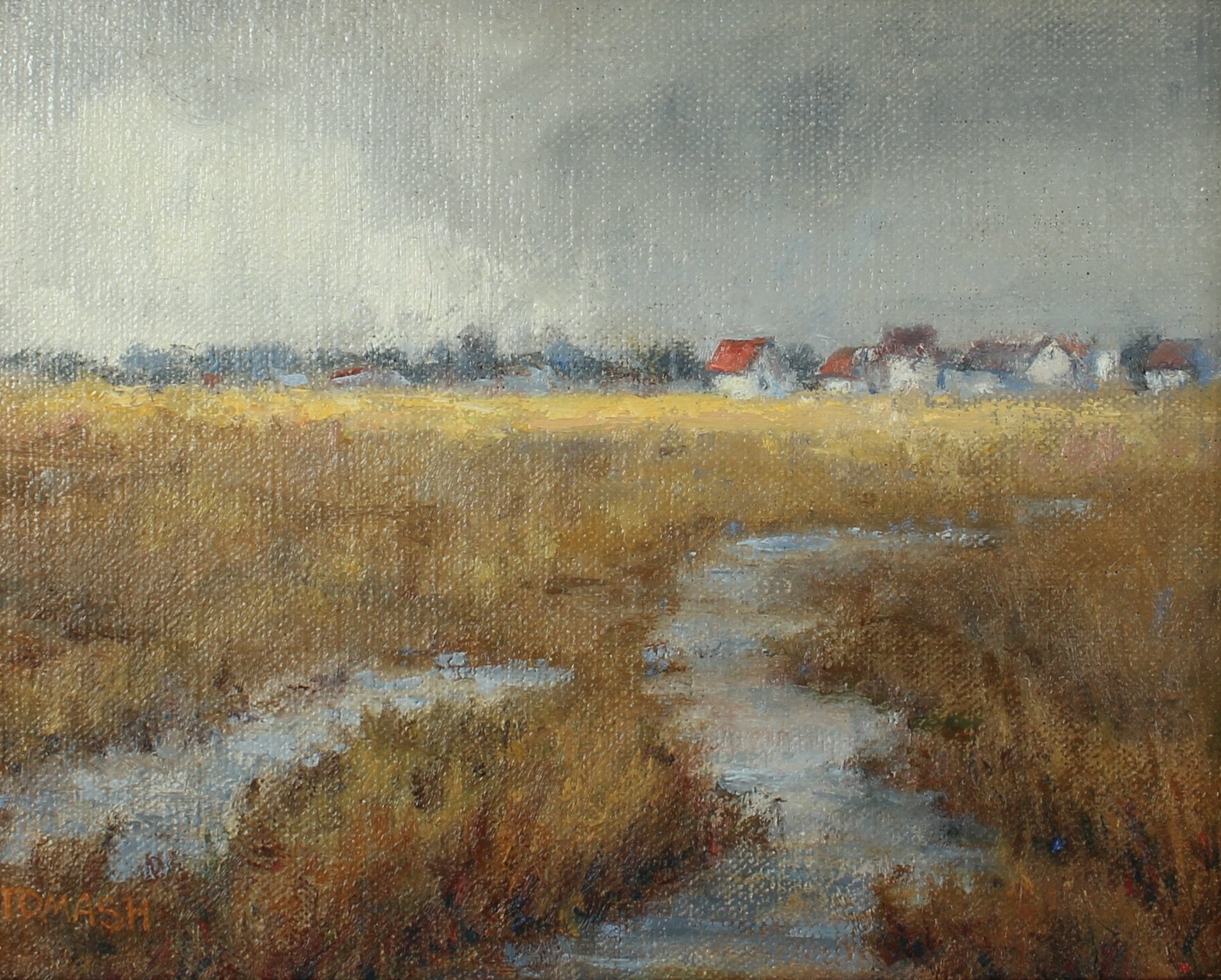 Field of Gold by Diane Tomash