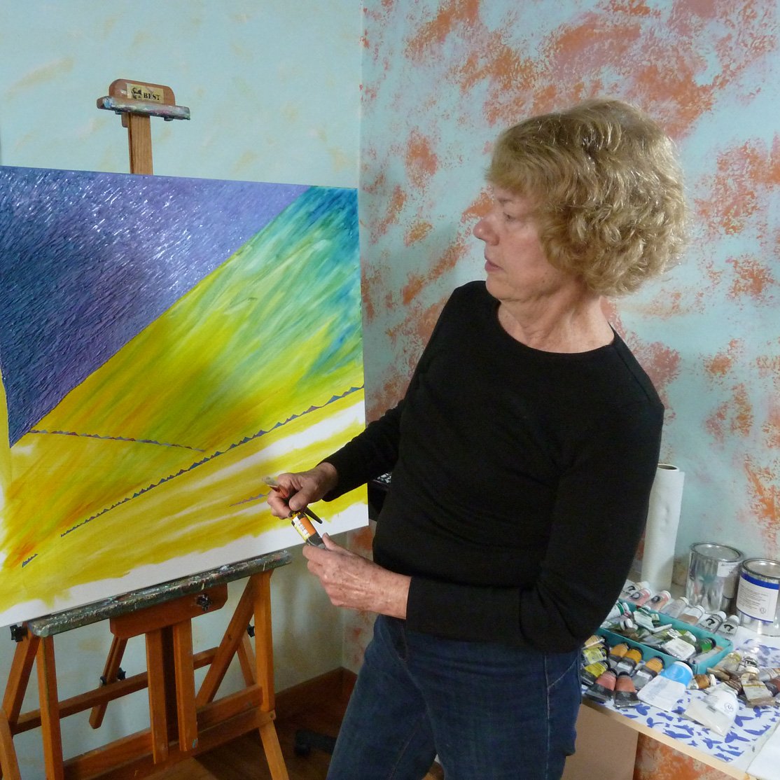 Nancy R Wise